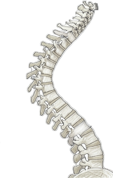 Fijación Posterior Cellent CSS 5.5 - Imagen 6